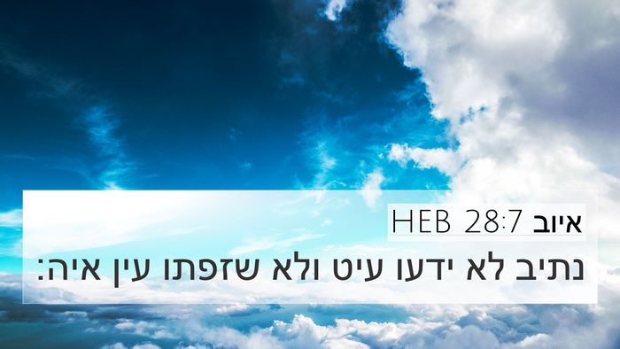 איוב 28:7 HEB Bible Verse Image