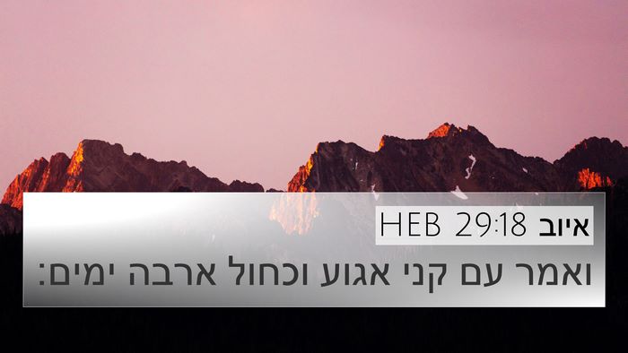 איוב 29:18 HEB Bible Verse Image