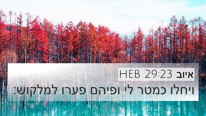 איוב 29:23 HEB Bible Verse Image