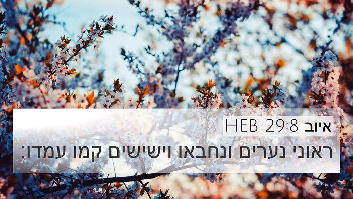 איוב 29:8 HEB Bible Verse Image