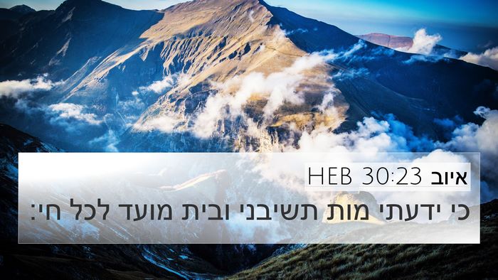איוב 30:23 HEB Bible Verse Image