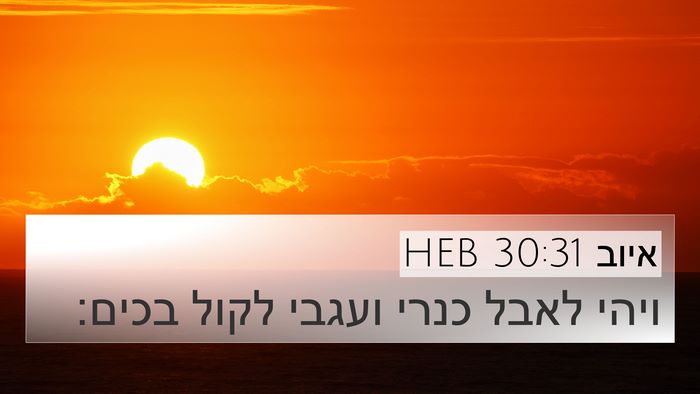 איוב 30:31 HEB 4K Wallpaper - ויהי לאבל כנרי ועגבי לקול - 4K Wallpaper Bible Verse