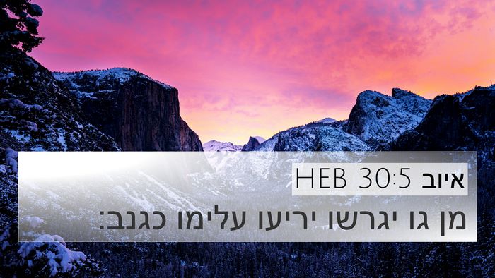 איוב 30:5 HEB Bible Verse Image
