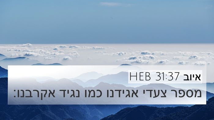 איוב 31:37 HEB Bible Verse Image