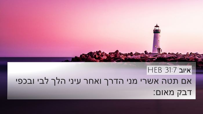 איוב 31:7 HEB Bible Verse Image