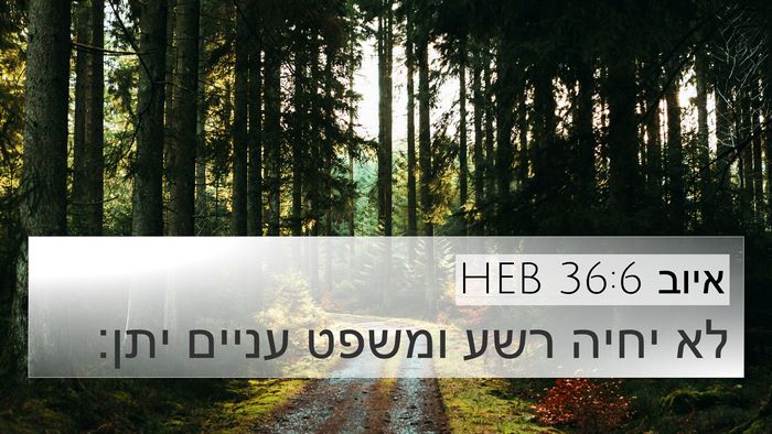 איוב 36:6 HEB 4K Wallpaper - לא יחיה רשע ומשפט עניים - 4K Wallpaper Bible Verse