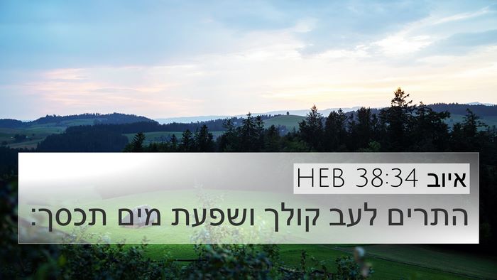 איוב 38:34 HEB Bible Verse Image