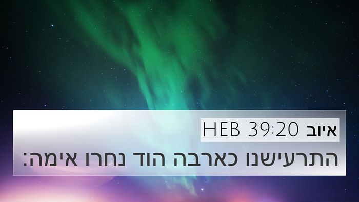 איוב 39:20 HEB 4K Wallpaper - התרעישנו כארבה הוד נחרו - 4K Wallpaper Bible Verse