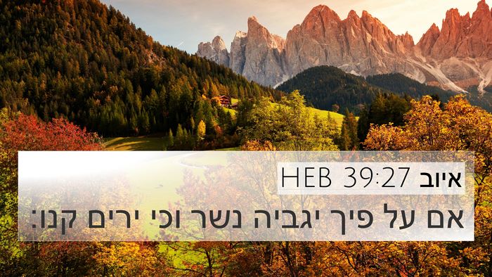 איוב 39:27 HEB Bible Verse Image