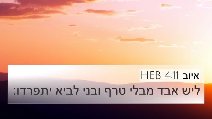 איוב 4:11 HEB 4K Wallpaper - ליש אבד מבלי טרף ובני לביא - 4K Wallpaper Bible Verse