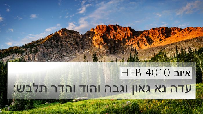 איוב 40:10 HEB Bible Verse Image