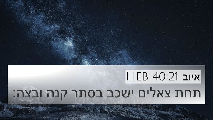 איוב 40:21 HEB Bible Verse Image