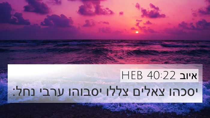 איוב 40:22 HEB Bible Verse Image