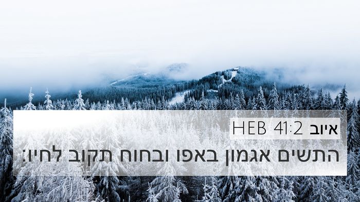 איוב 41:2 HEB Bible Verse Image