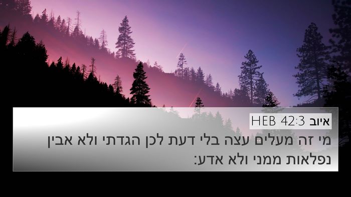 איוב 42:3 HEB Bible Verse Image