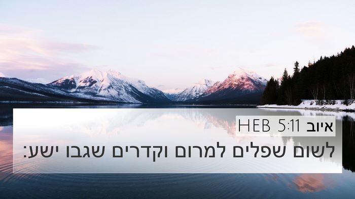 איוב 5:11 HEB Bible Verse Image