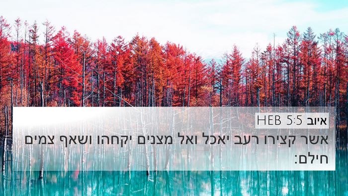 איוב 5:5 HEB Bible Verse Image