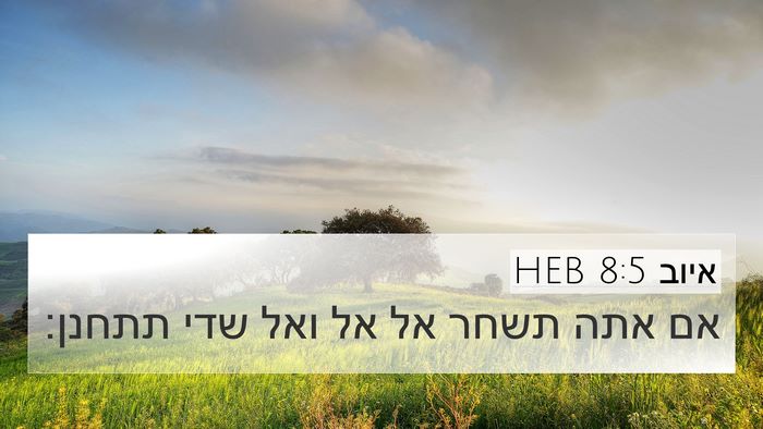 איוב 8:5 HEB Bible Verse Image