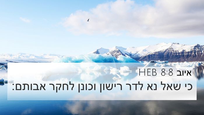 איוב 8:8 HEB Bible Verse Image