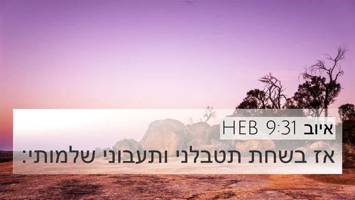 איוב 9:31 HEB Bible Verse Image