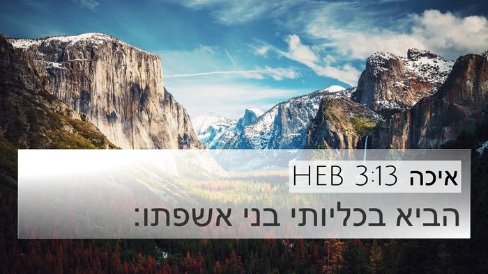 איכה 3:13 HEB 4K Wallpaper - הביא בכליותי בני - 4K Wallpaper Bible Verse
