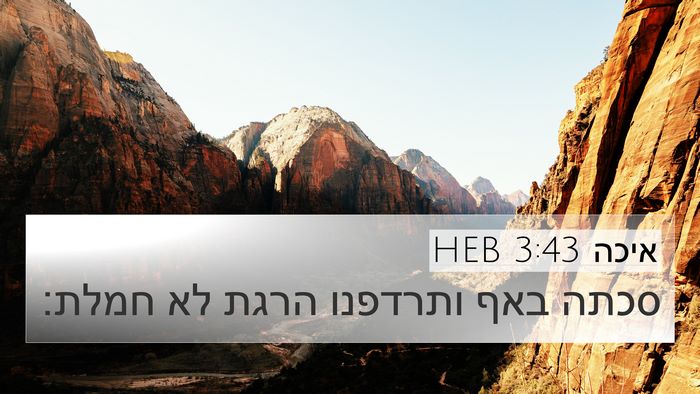 איכה 3:43 HEB Bible Verse Image