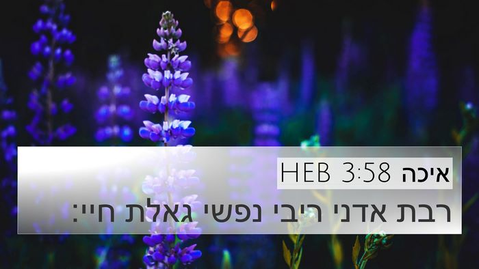 איכה 3:58 HEB Bible Verse Image
