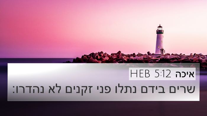 איכה 5:12 HEB Bible Verse Image