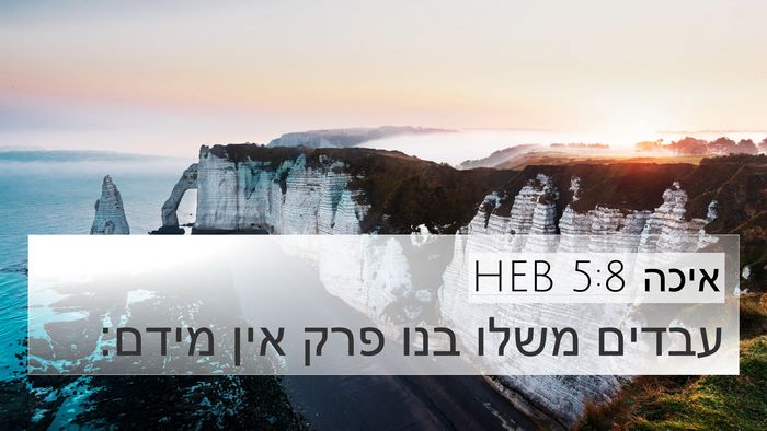 איכה 5:8 HEB Bible Verse Image