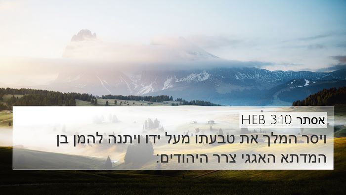 אסתר 3:10 HEB Bible Verse Image