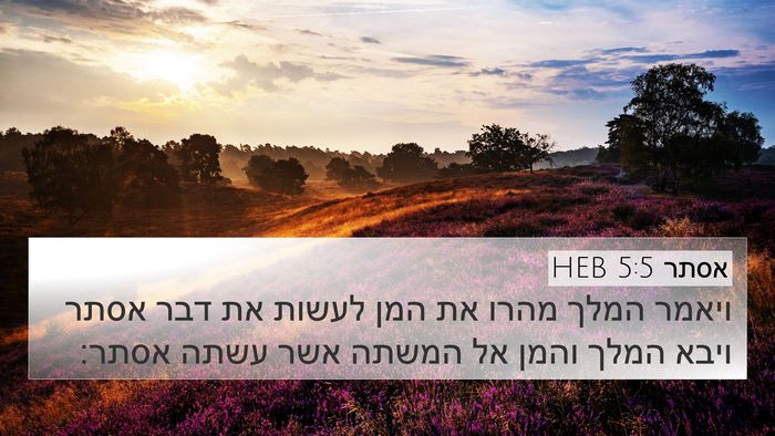 אסתר 5:5 HEB 4K Wallpaper - ויאמר המלך מהרו את המן - 4K Wallpaper Bible Verse