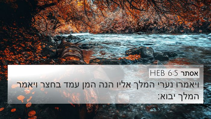 אסתר 6:5 HEB 4K Wallpaper - ויאמרו נערי המלך אליו הנה - 4K Wallpaper Bible Verse