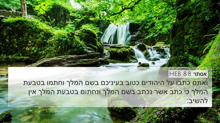 אסתר 8:8 HEB Bible Verse Image