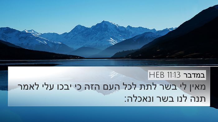 במדבר 11:13 HEB Bible Verse Image