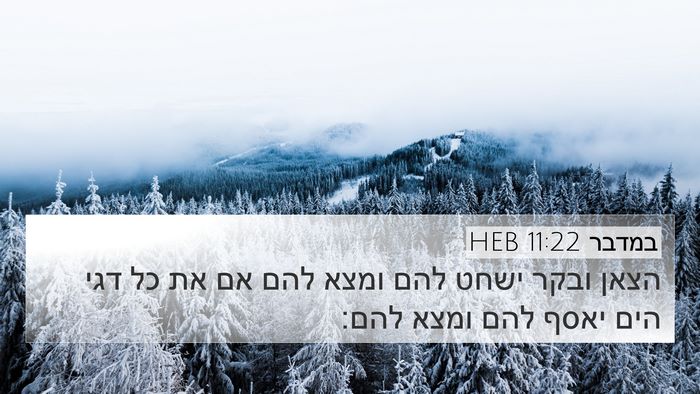 במדבר 11:22 HEB Bible Verse Image