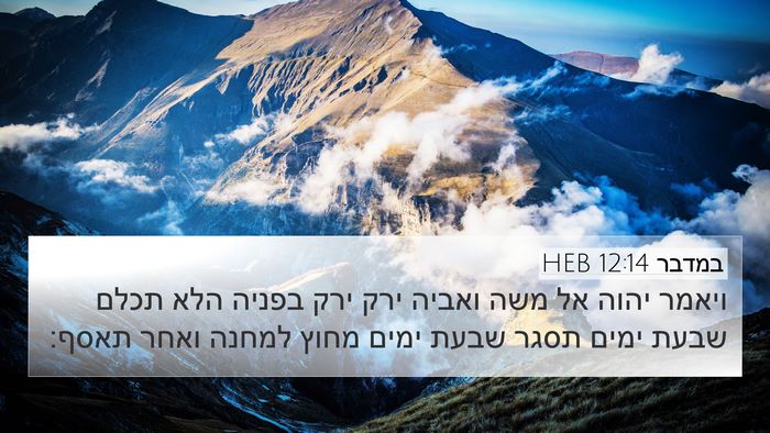 במדבר 12:14 HEB Bible Verse Image