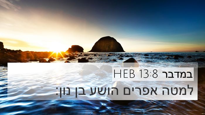 במדבר 13:8 HEB Bible Verse Image