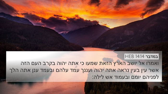 במדבר 14:14 HEB Bible Verse Image