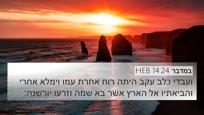 במדבר 14:24 HEB Bible Verse Image