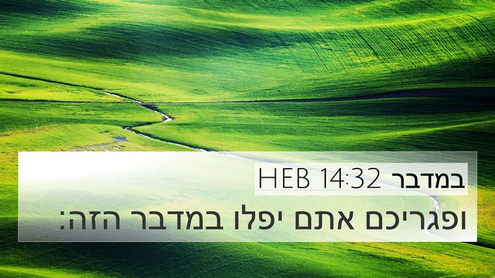 במדבר 14:32 HEB 4K Wallpaper - ופגריכם אתם יפלו במדבר - 4K Wallpaper Bible Verse