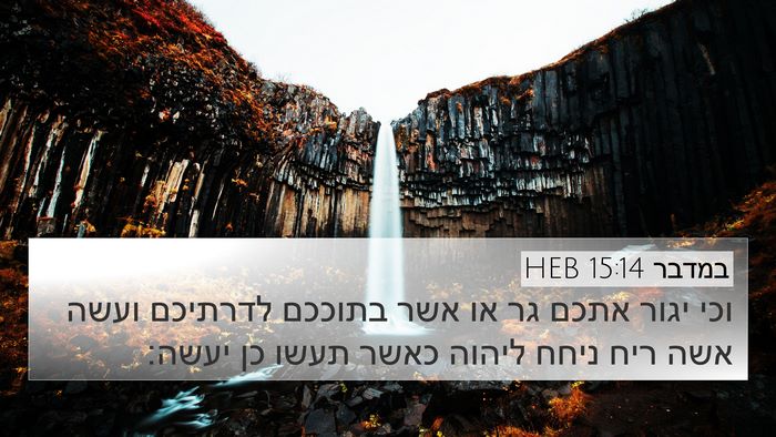 במדבר 15:14 HEB Bible Verse Image