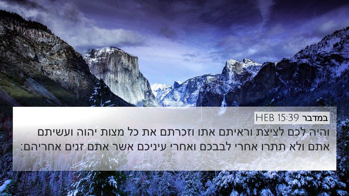 במדבר 15:39 HEB Bible Verse Image