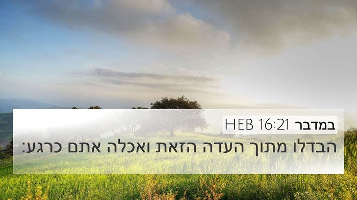 במדבר 16:21 HEB Bible Verse Image