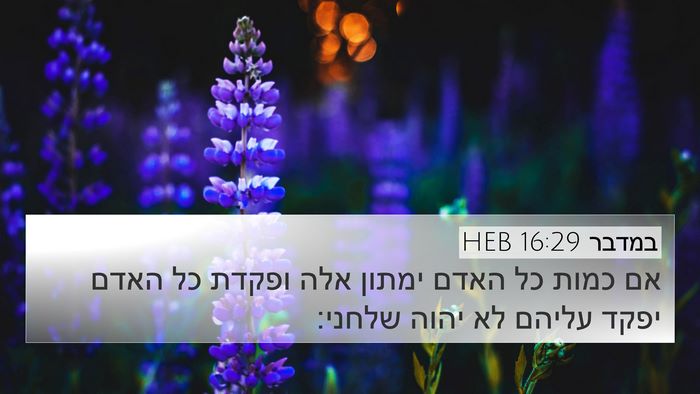 במדבר 16:29 HEB 4K Wallpaper - אם כמות כל האדם ימתון אלה - 4K Wallpaper Bible Verse