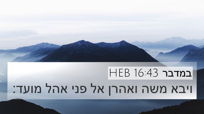 במדבר 16:43 HEB Bible Verse Image