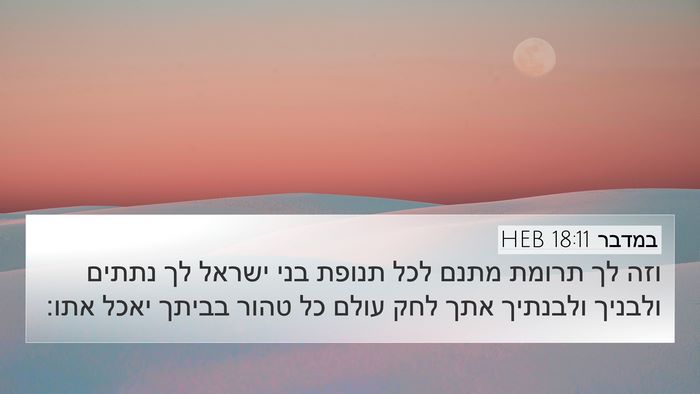 במדבר 18:11 HEB 4K Wallpaper - וזה לך תרומת מתנם לכל תנופת - 4K Wallpaper Bible Verse