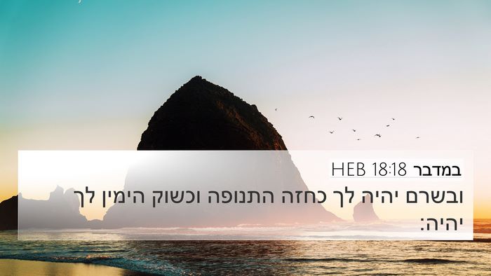 במדבר 18:18 HEB Bible Verse Image