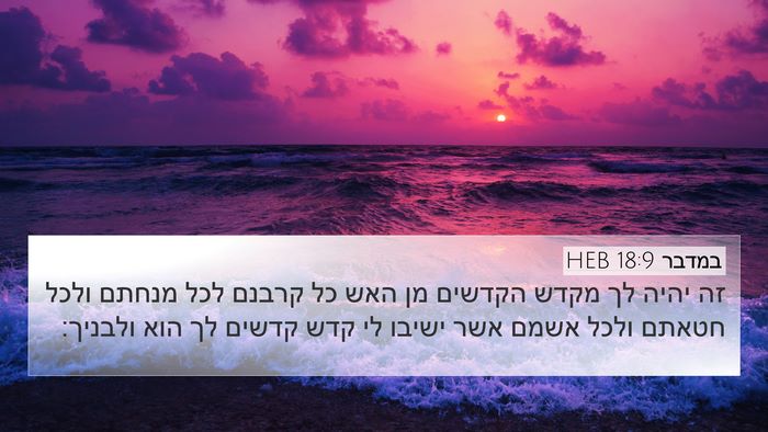 במדבר 18:9 HEB Bible Verse Image