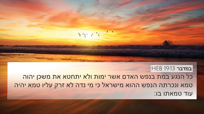 במדבר 19:13 HEB 4K Wallpaper - כל הנגע במת בנפש האדם אשר - 4K Wallpaper Bible Verse
