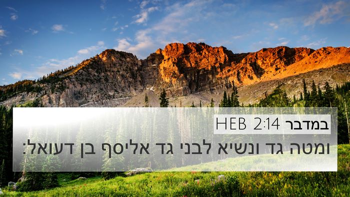 במדבר 2:14 HEB Bible Verse Image